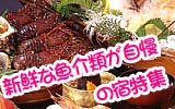 �V�N�ȋ���ގ����̏h���W