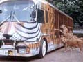 2007ゴールデンウィークお出かけスポット情報 富士サファリパーク