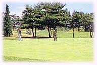 golf.jpg