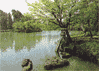 兼六園ホームページ