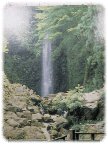 養老の滝